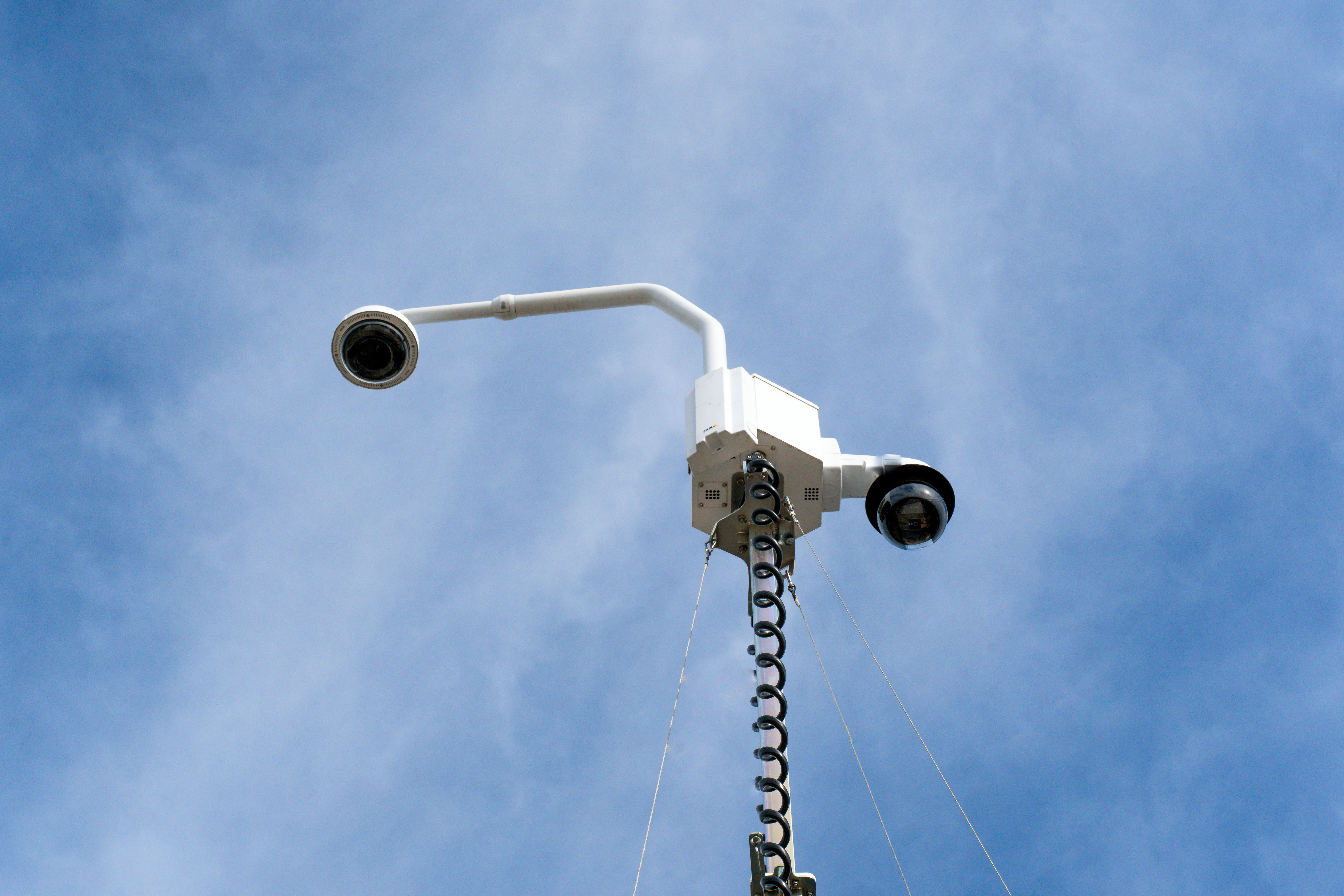 Car Dealership Theft: What It Really Costs